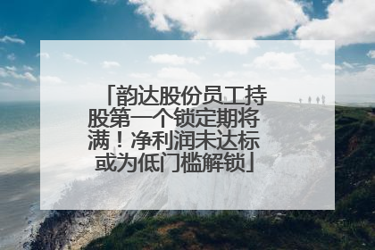 韵达股份员工持股第一个锁定期将满！净利润未达标或为低门槛解锁