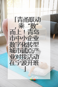 青甬联动，乘“数”而上！青岛市中小企业数字化转型城市试点产业对接活动在宁波开班