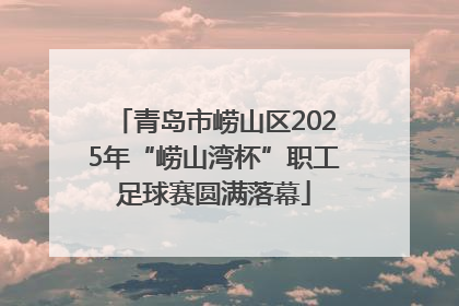 青岛市崂山区2025年“崂山湾杯”职工足球赛圆满落幕