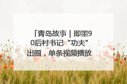 青岛故事｜即墨90后村书记“功夫”出圈，单条视频播放量过600万