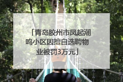 青岛胶州市凤起潮鸣小区因擅自选聘物业被罚3万元