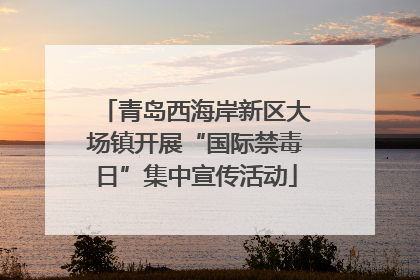 青岛西海岸新区大场镇开展“国际禁毒日”集中宣传活动