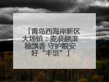 青岛西海岸新区大场镇：麦浪翻滚穗飘香 守护粮安好“丰景”