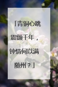 青铜心跳震颤千年，钟情何以满随州？