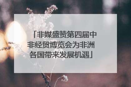 非媒盛赞第四届中非经贸博览会为非洲各国带来发展机遇