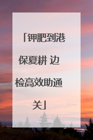 钾肥到港保夏耕 边检高效助通关
