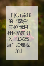 长江岸线的“双堤”守护 武昌社区防溺引入“1米高度”治理视角