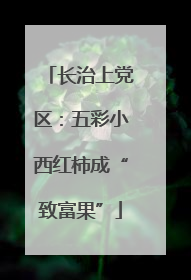 长治上党区：五彩小西红柿成“致富果”