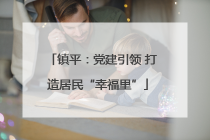 镇平：党建引领 打造居民“幸福里”
