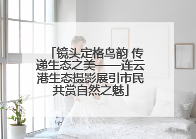 镜头定格鸟韵 传递生态之美——连云港生态摄影展引市民共赏自然之魅