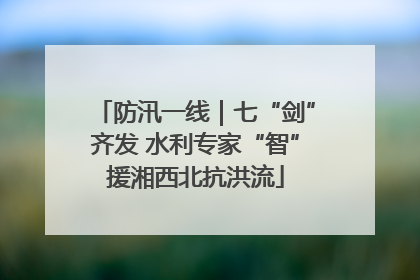 防汛一线｜七“剑”齐发 水利专家“智”援湘西北抗洪流