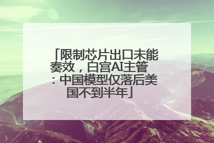 限制芯片出口未能奏效，白宫AI主管：中国模型仅落后美国不到半年