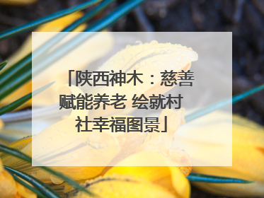 陕西神木：慈善赋能养老 绘就村社幸福图景