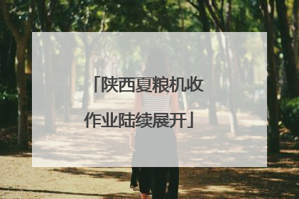 陕西夏粮机收作业陆续展开