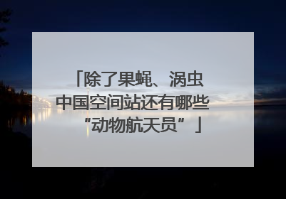 除了果蝇、涡虫 中国空间站还有哪些“动物航天员”