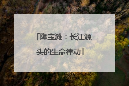 隆宝滩：长江源头的生命律动