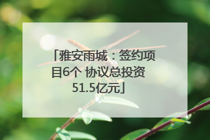 雅安雨城：签约项目6个 协议总投资51.5亿元