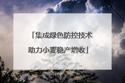 集成绿色防控技术助力小麦稳产增收