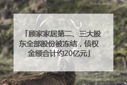 顾家家居第二、三大股东全部股份被冻结，债权金额合计约20亿元