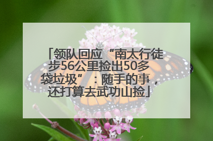 领队回应“南太行徒步56公里捡出50多袋垃圾”：随手的事，还打算去武功山捡