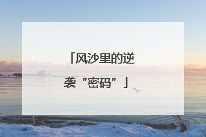 风沙里的逆袭“密码”