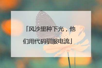 风沙里种下光，他们用代码驯服电流