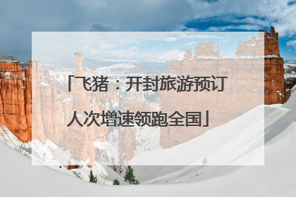 飞猪：开封旅游预订人次增速领跑全国