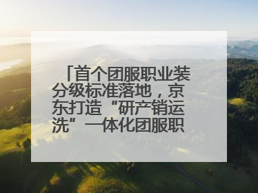 首个团服职业装分级标准落地，京东打造“研产销运洗”一体化团服职业装解决方案