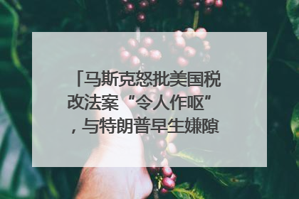 马斯克怒批美国税改法案“令人作呕”，与特朗普早生嫌隙？｜国际识局