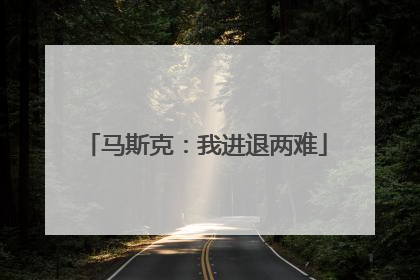 马斯克：我进退两难