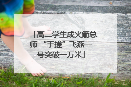 高二学生成火箭总师 “手搓”飞燕一号突破一万米