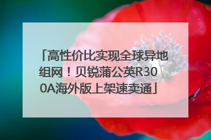 高性价比实现全球异地组网！贝锐蒲公英R300A海外版上架速卖通