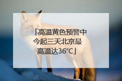 高温黄色预警中 今起三天北京最高温达36℃
