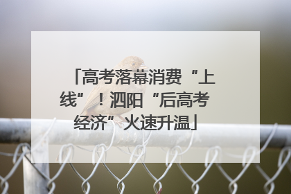高考落幕消费“上线”！泗阳“后高考经济”火速升温