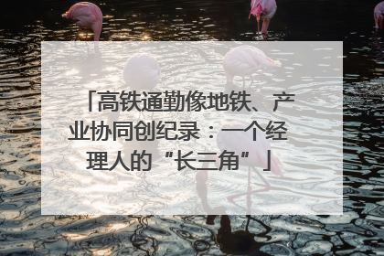 高铁通勤像地铁、产业协同创纪录：一个经理人的“长三角”