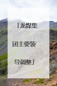 龙煤集团主要领导调整