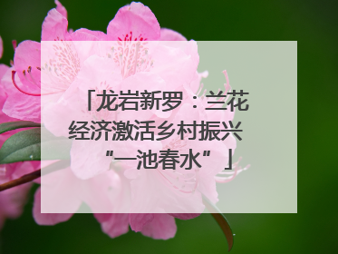 龙岩新罗：兰花经济激活乡村振兴“一池春水”