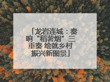 龙岩连城：奏响“稻薯烟”三重奏 绘就乡村振兴新图景