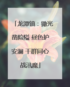 龙潭镇：锄光凿险隘 昼色护安澜 干群同心战汛魔