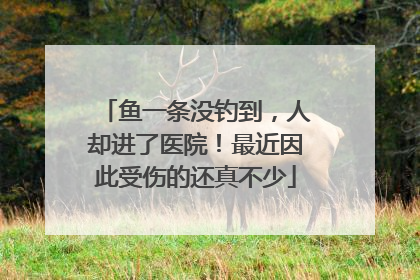 鱼一条没钓到，人却进了医院！最近因此受伤的还真不少