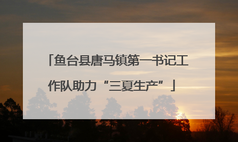 鱼台县唐马镇第一书记工作队助力“三夏生产”