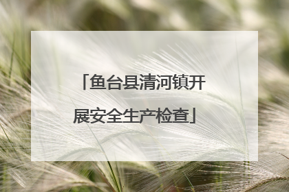 鱼台县清河镇开展安全生产检查