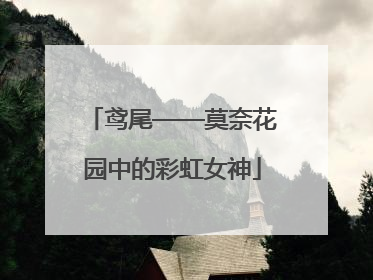 鸢尾——莫奈花园中的彩虹女神