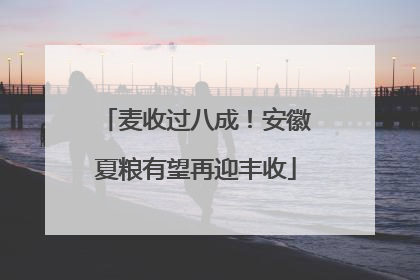 麦收过八成！安徽夏粮有望再迎丰收