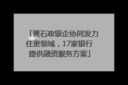 黄石政银企协同发力住更领域，17家银行提供融资服务方案