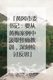 黄冈市委书记：要从黄梅案例中汲取惨痛教训，深刻检讨反思