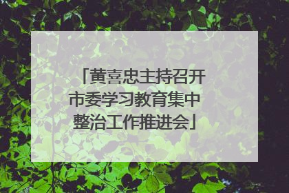 黄喜忠主持召开市委学习教育集中整治工作推进会