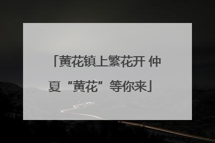 黄花镇上繁花开 仲夏“黄花”等你来