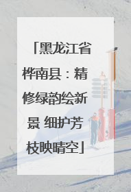 黑龙江省桦南县：精修绿韵绘新景 细护芳枝映晴空
