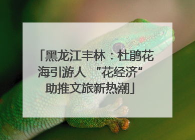 黑龙江丰林：杜鹃花海引游人 “花经济”助推文旅新热潮